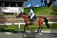 ref. photo 3563022