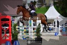 ref. photo 3563023