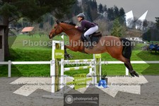 ref. photo 3563024