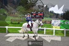 ref. photo 3563056