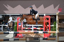ref. photo 3563076