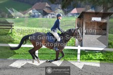 ref. photo 3563094