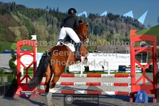 ref. photo 3563098