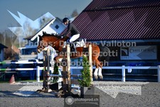ref. photo 3563101