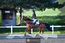 ref. photo 3563103