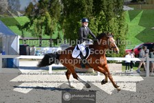 ref. photo 3563107