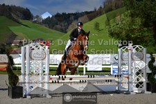 ref. photo 3563108