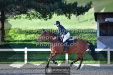 ref. photo 3563119