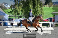 ref. photo 3563123