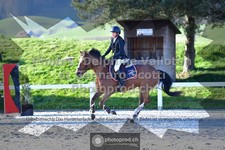 ref. photo 3563136