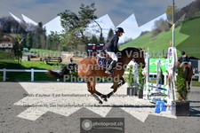 ref. photo 3563137