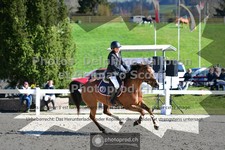 ref. photo 3563139