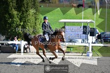 ref. photo 3563142