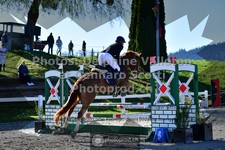 ref. photo 3563151