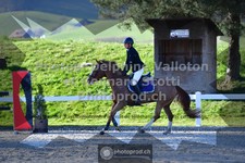 ref. photo 3563153