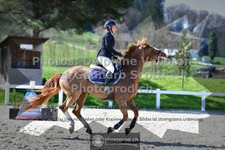 ref. photo 3563154