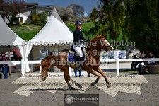 ref. photo 3563156