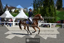 ref. photo 3563159