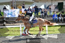 ref. photo 3563161