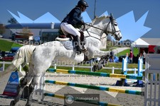 ref. photo 3563174