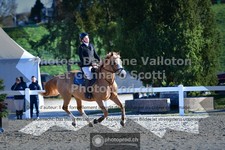 ref. photo 3563182