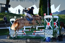 ref. photo 3563184