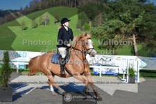 ref. photo 3563185
