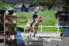 ref. photo 3563188