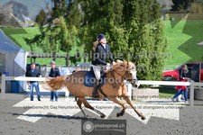 ref. photo 3563190