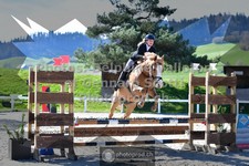 ref. photo 3563192
