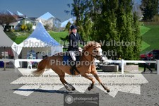 ref. photo 3563193