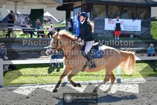 ref. photo 3563195