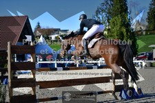 ref. photo 3563201