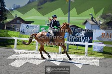 ref. photo 3563209