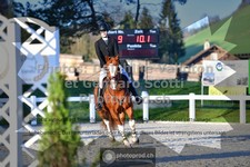 ref. photo 3563225