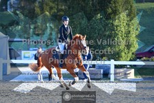 ref. photo 3563231