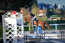 ref. photo 3563235