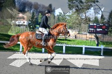 ref. photo 3563239