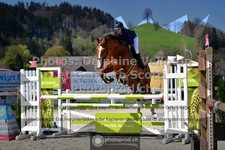 ref. photo 3563248