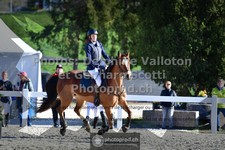 ref. photo 3563280