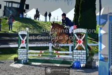ref. photo 3563291