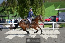 ref. photo 3563294
