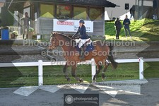 ref. photo 3563303