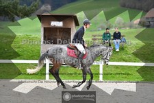 ref. photo 3563339