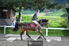 ref. photo 3563347