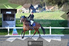 ref. photo 3563351