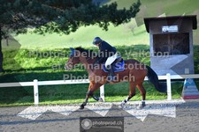 ref. photo 3563357