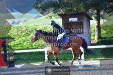 ref. photo 3563358