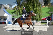 ref. photo 3563360