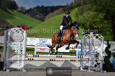 ref. photo 3563361